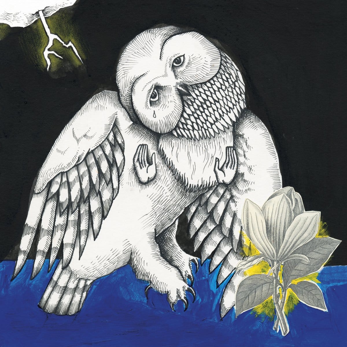 Album Review: Magnolia Electric Co