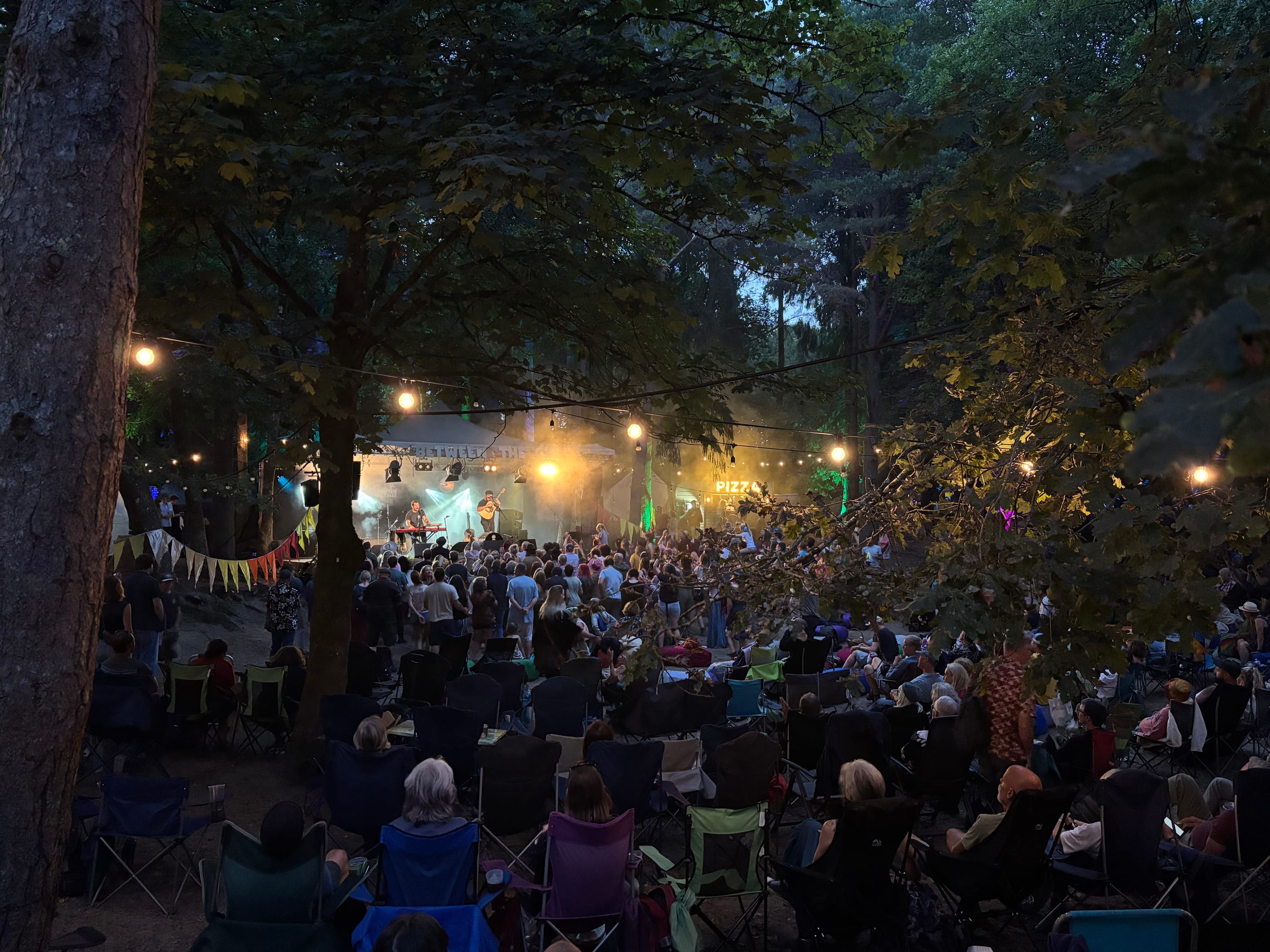 Between the Trees: A Festival Worthy of the Shire